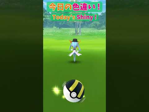 キルリア色違い(Shiny)【Pokémon GO】 #Shorts