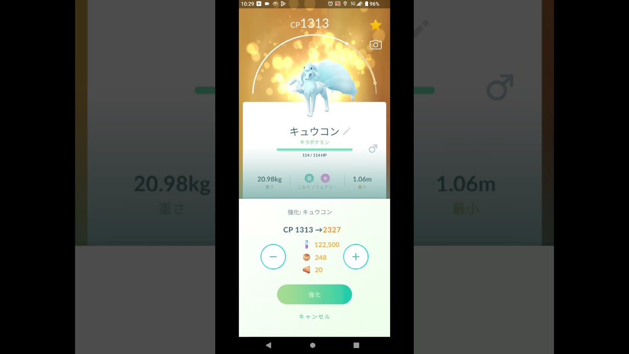 ポケモンGO　アローラキュウコンをPL20からPL40まで強化をやってみた。