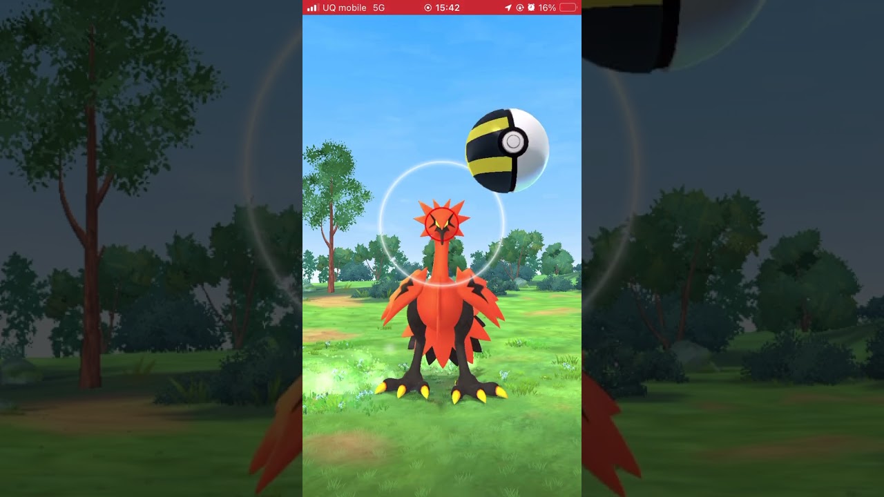 2日連続ガラルサンダーに遭遇！でも下手くそ過ぎた！！ #ポケモンgo #ポケモン #pokemongo#pokemon#ガラル3鳥