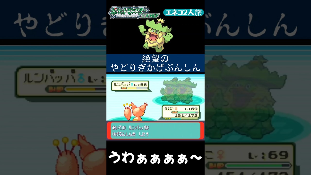 【ポケモンエメラルド Shorts】【エネコ2人旅】絶望のやどりぎかげぶんしん使ってくるチャンピオンミクリ #Shorts