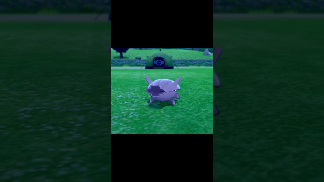 ボールを持ってやってくるシェルダー　#Shorts