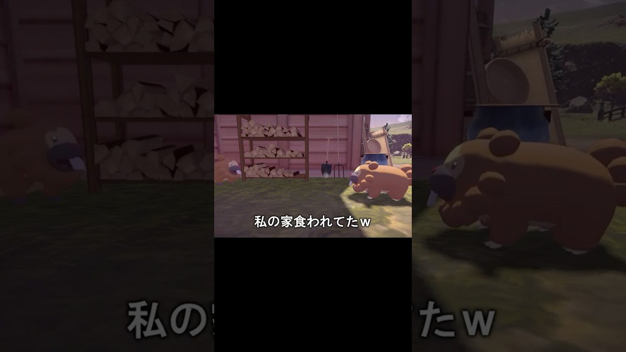 ビッパに大事な家を食べられてしまう#ポケモンレジェンズアルセウス #ゲーム実況 #shorts
