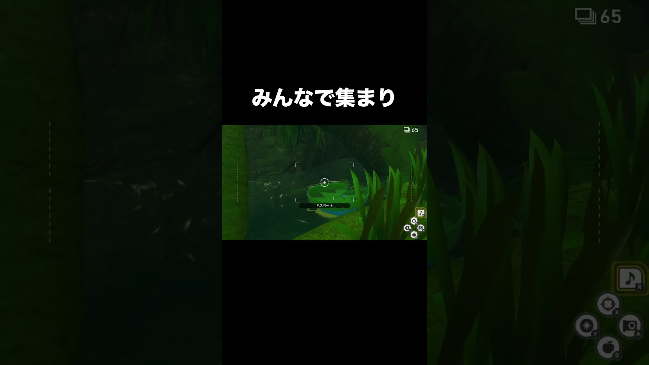 ハスボートリプルポップ　#ポケスナ #ハスボー