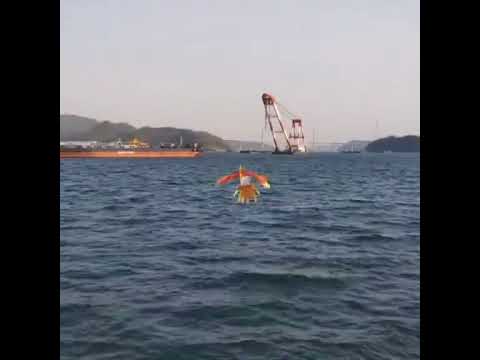 칠색조 ( Ho-Oh ) ホウオウ ( 鳳王 )