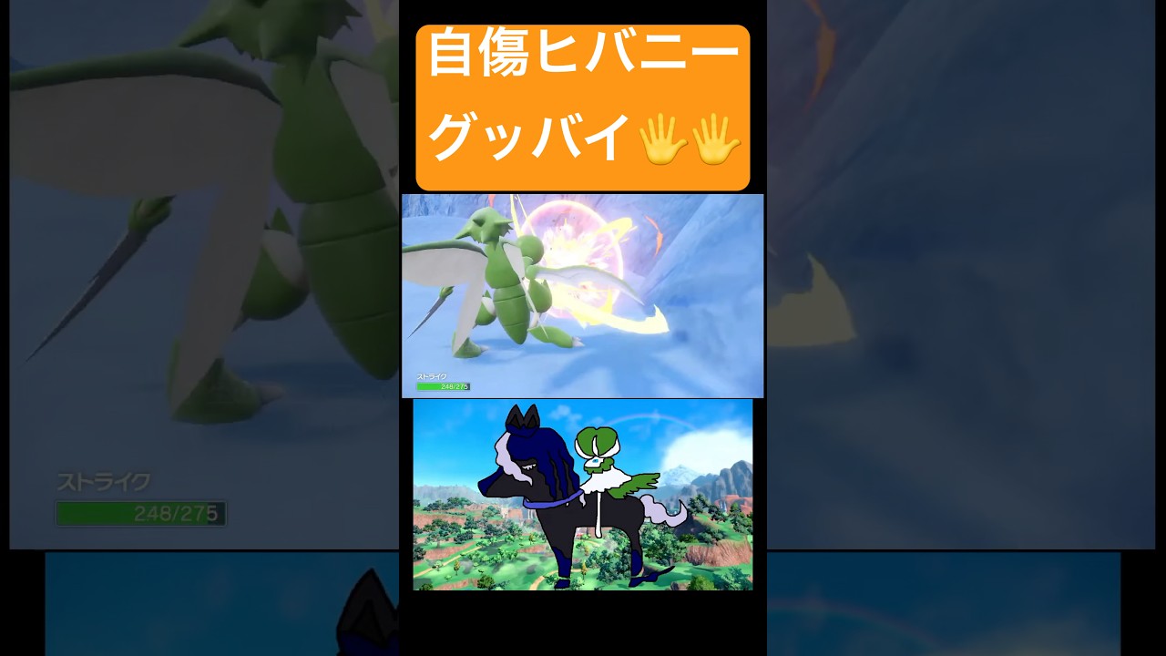 自滅する色うさぎ。#ポケモン #pokemon #ポケモンsv #色違い #ヒバニー #うさぎ