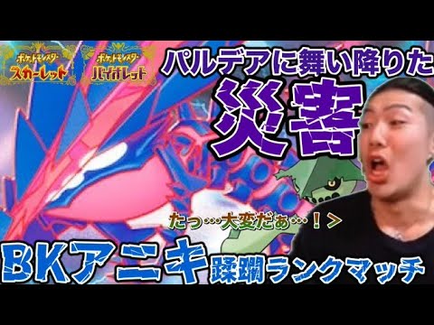 【ポケモンSV】ポケダンにもいた相棒と勝率爆上げランクマッチ　ノクタスSP