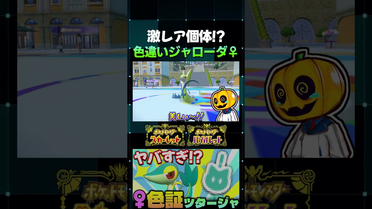 【ポケモンSV】美しすぎる!? 激レアひとしら色違いツタージャ♀をジャローダに進化させてみたリアクションがこちらｗ【切り抜き】【色違いポケモン】【色違い厳選】#shorts