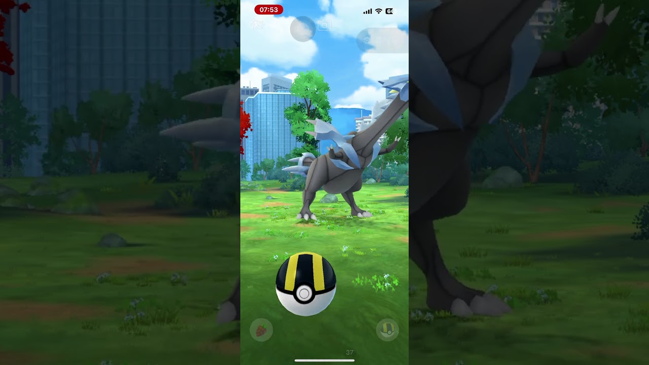 만남: 큐레무1 #pokemongo #포켓몬고