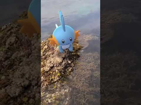 ミズゴロウ｜Mudkip｜GOphotobomb【ポケモンGO】｜AR動画｜PoKeMoN GO AR｜#Shorts｜Pokemon GO CommunityDay