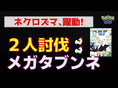 本編【メガタブンネ！２人討伐】ネクロズマが躍動 #ポケモンgo #ポケモン #レイドバトル #ネクロズマ #タブンネ