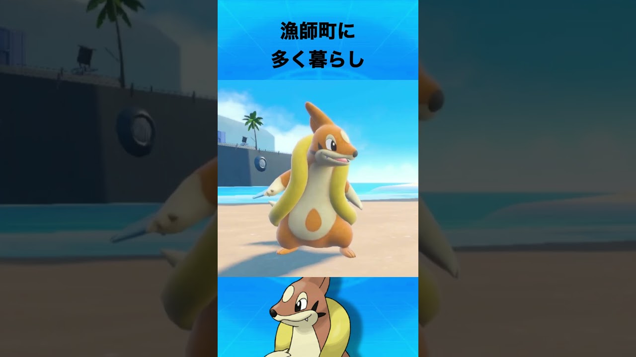 フローゼルについて #ポケモン #フローゼル