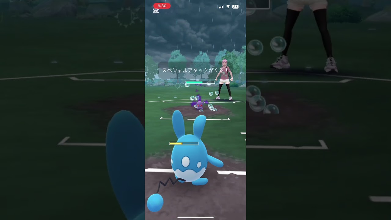 ゴロンダ一貫！