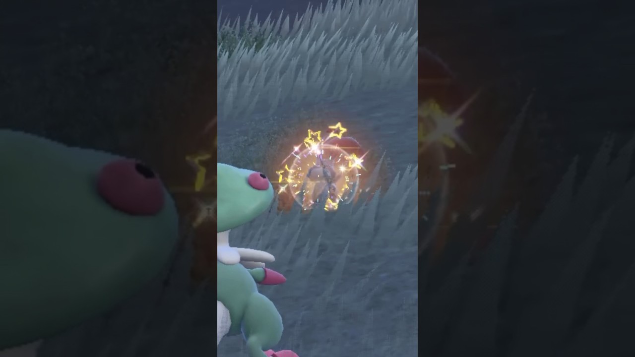 大量発生:色違いホシガリス編(*'▽'*)