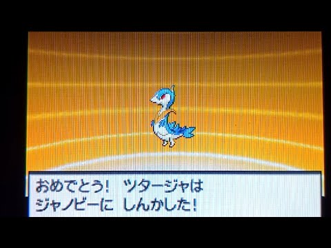 【実況】ポケットモンスターブラック 色違いジャローダ1匹旅　ツタージャ進化・ジムバッジ2つ目まで