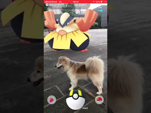 ポケモンGOハリテヤマ
