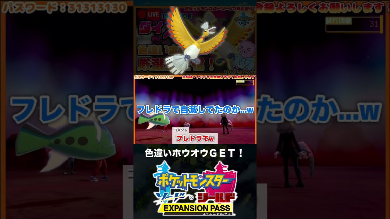 色違いホウオウと邂逅した男【ポケモン剣盾】