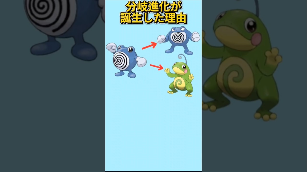 【びっくり】分岐進化が誕生した理由（ニョロゾ系統）【ポケモン解説員】#ポケモン考察#ポケモン解説員