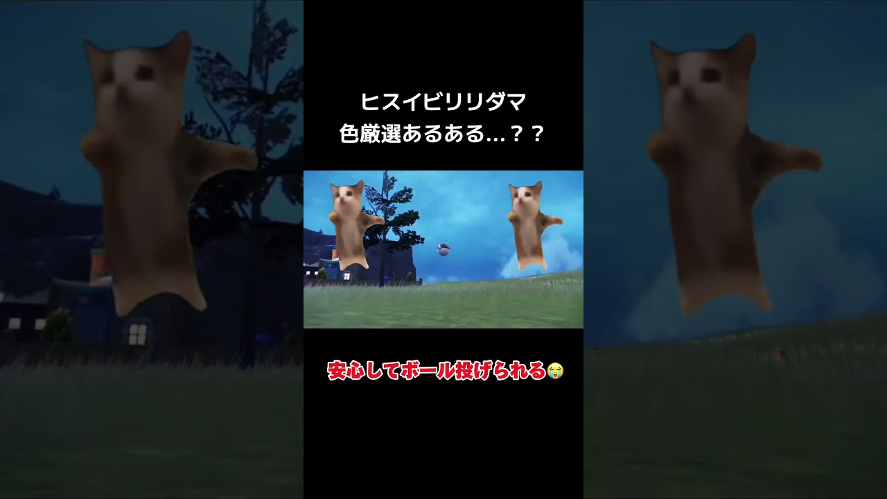 【ポケモンSV】ヒスイビリリダマ色違い厳選あるある..？#shorts #ポケモンSV #猫ミーム