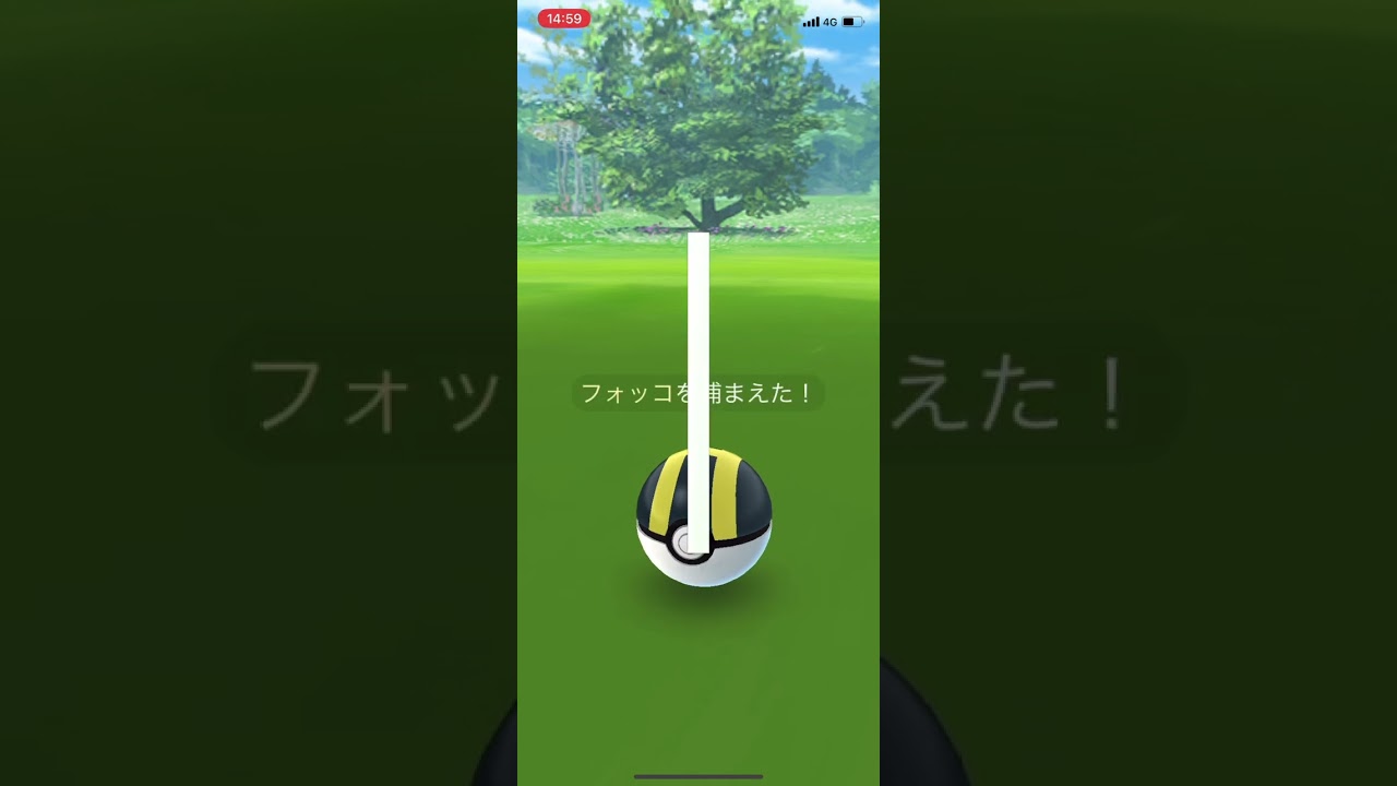 【ポケGO】フォッコ＆テールナーの色違い（コミュニティデイにて）ポケモンGO