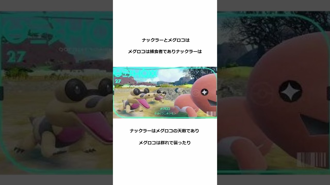 【生態】メグロコとナックラー #Shorts #Pokemon #ポケモン   #youtubeshorts #youtube #game #survival   #dessert