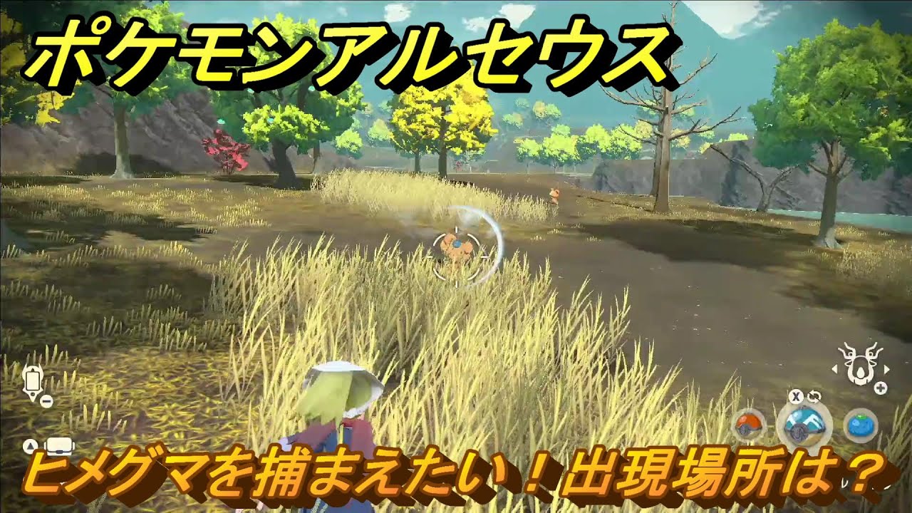 ポケモンアルセウス　ヒメグマを捕まえたい！出現場所は？　＃６７　【Pokémon LEGENDS アルセウス】