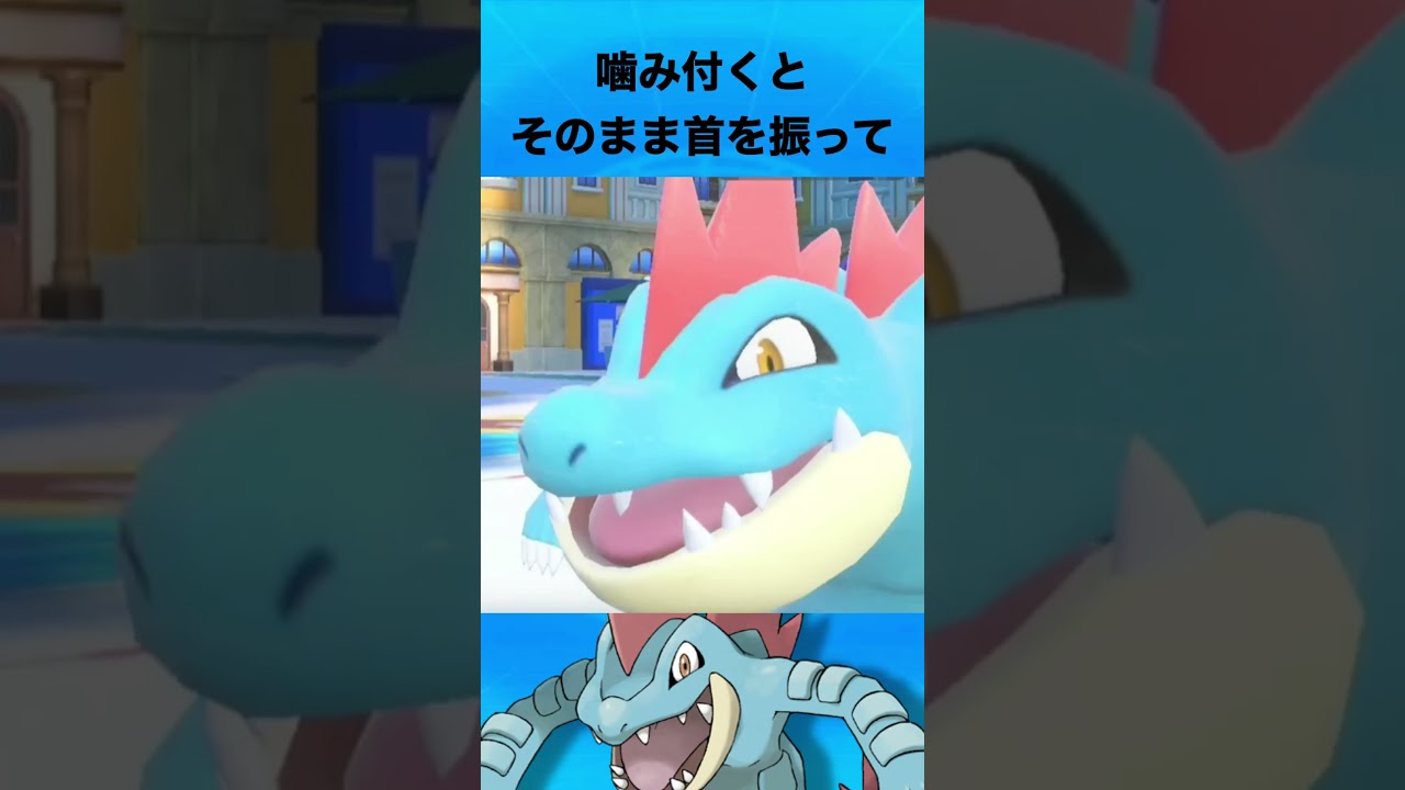 オーダイルについて #ポケモン #オーダイル