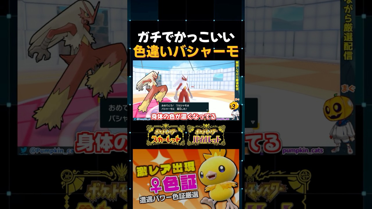 【ポケモンSV】実は激レアな♀バシャーモ!? 色証アチャモを進化させたらかっこよすぎたｗ【切り抜き】【色違いポケモン】【色違い厳選】#shorts