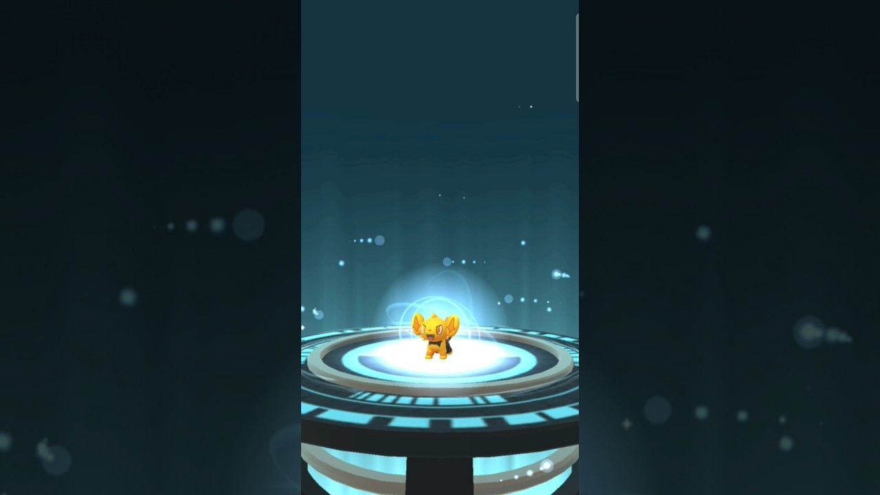 Evolving Shiny Shinx to Luxio #pokemon #pokemongo #mobilegaming #shorts #japan