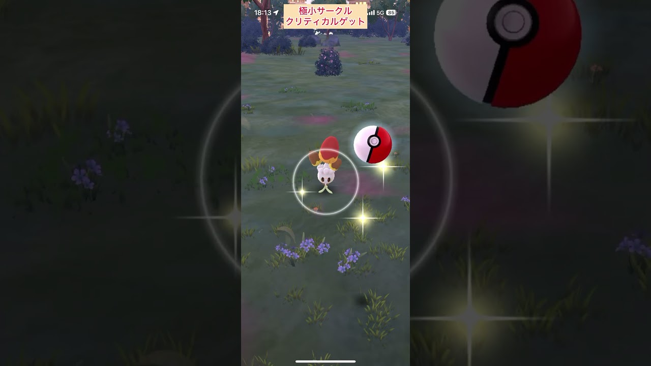 【難易度中】色違いネマシュ極小サークルクリティカルゲット【ポケモンGO】