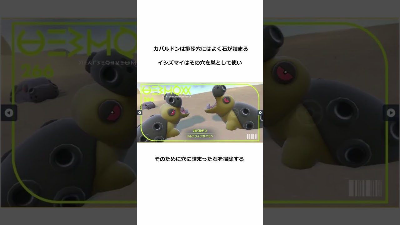 【生態】カバルドンとイシズマイ #Shorts #Pokemon #ポケモン   #youtubeshorts #youtube #game #survival   #dessert