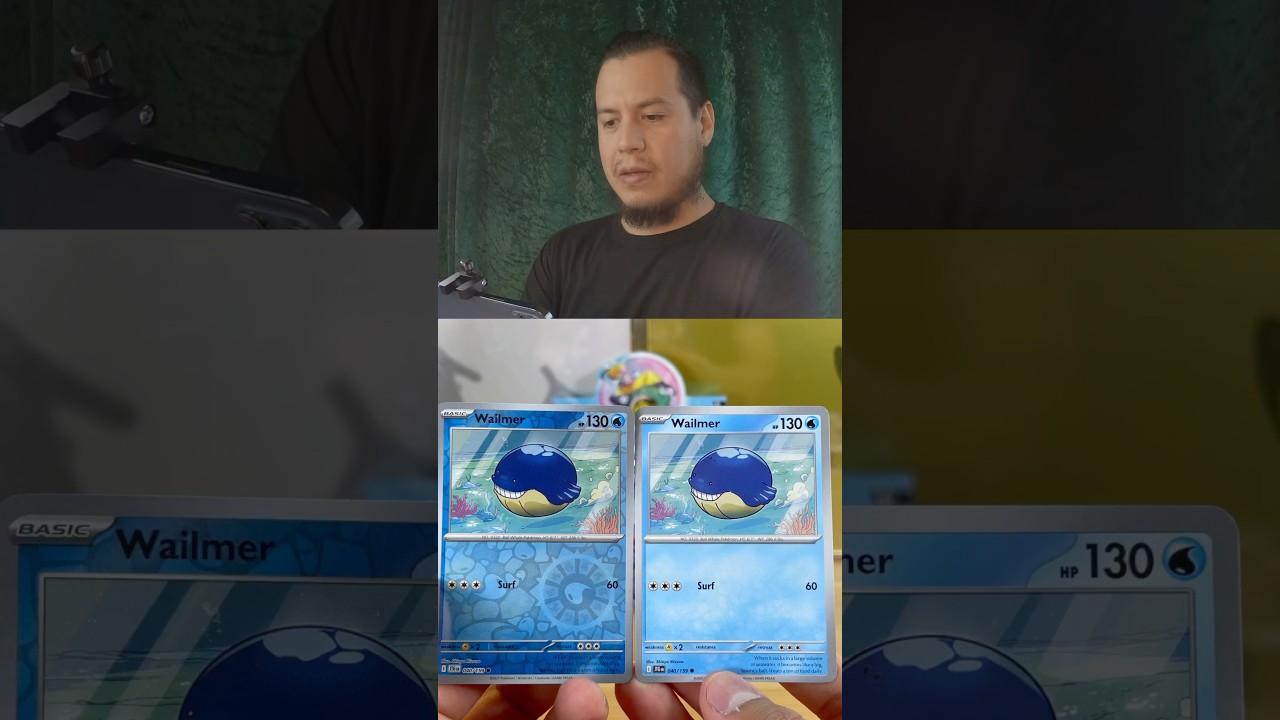 Holo Vs. Non-Holo Wailmer Pokémon Journey Together