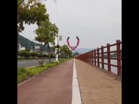 이벨타르 ( Yveltal ) イベルタル ( 伊裴爾塔爾 )