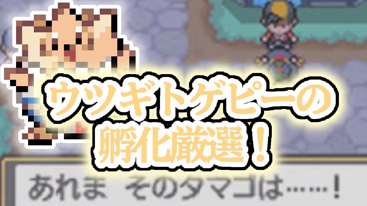 【ポケモンHGSS】Egg Month！ウツギトゲピーの色厳選！　960~