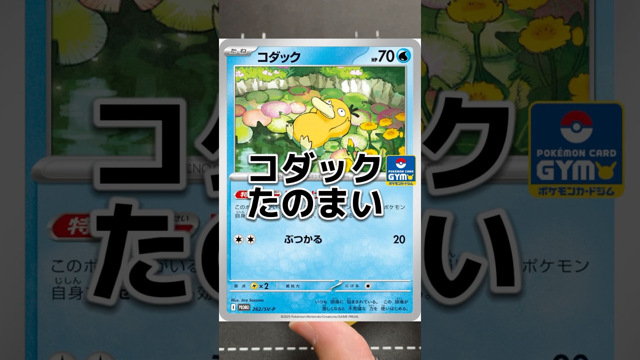 【コダックほしい】コダック欲しくてフレンドバトルに参加してきたおじ。#ポケカ#開封#ジムプロモ#コダック#しめりけ