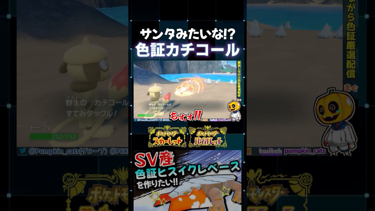 【ポケモンSV】最後まで一筋縄ではいかない!? レア証を持った色証カチコールをGET出来たと思ったら起きた悲劇ｗ【切り抜き】【色違いポケモン】【色違い厳選】#shorts
