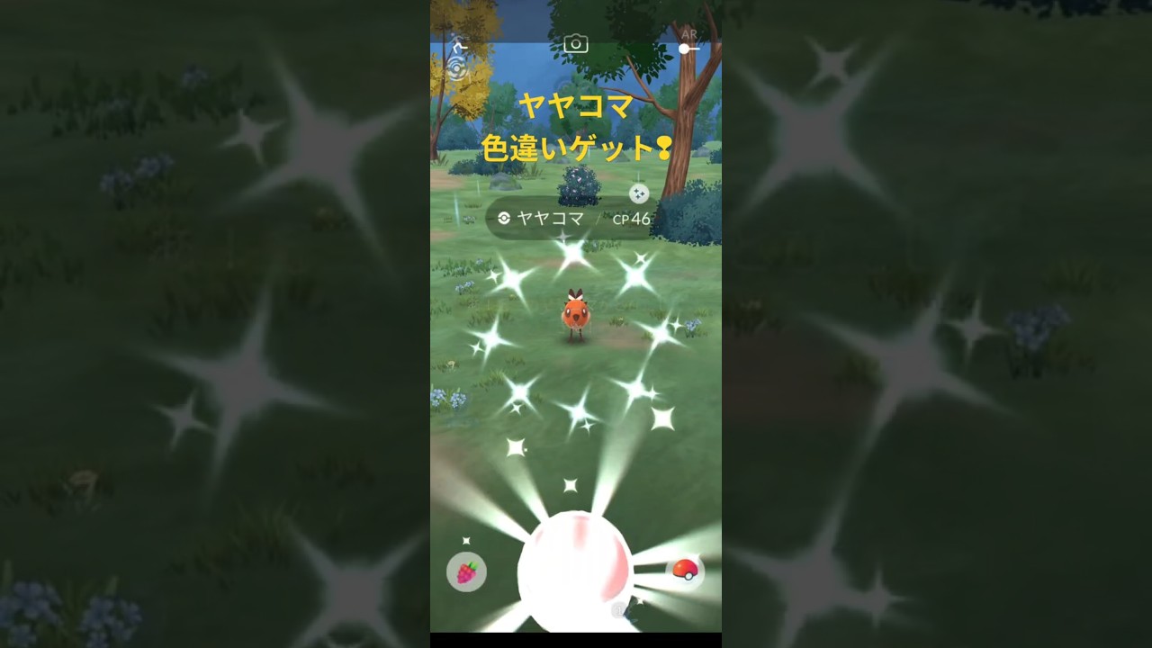 【ポケモンGO】ヤヤコマ 色違いゲット🤩  #ポケモンgo #pokemongo #ヤヤコマ #色違い