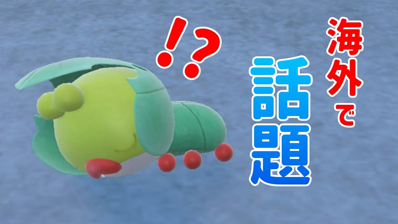 海外大会で話題沸騰⁉クルミルが晴れパで活躍…⁇【レギュレーションI】