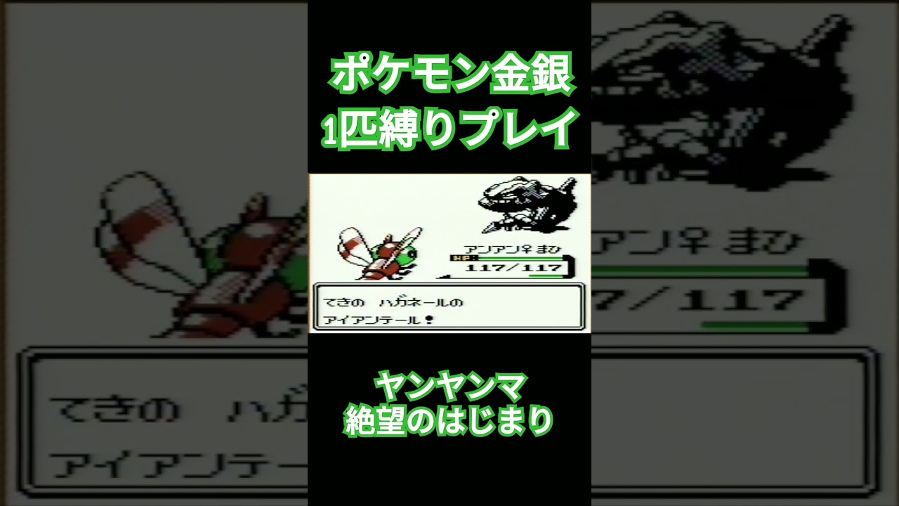 【ポケモン金銀】ポケモン1匹縛りプレイ!!ヤンヤンマver【縛りプレイ】#ポケモン金銀 #縛りプレイ #ヤンヤンマ #ゲーム実況