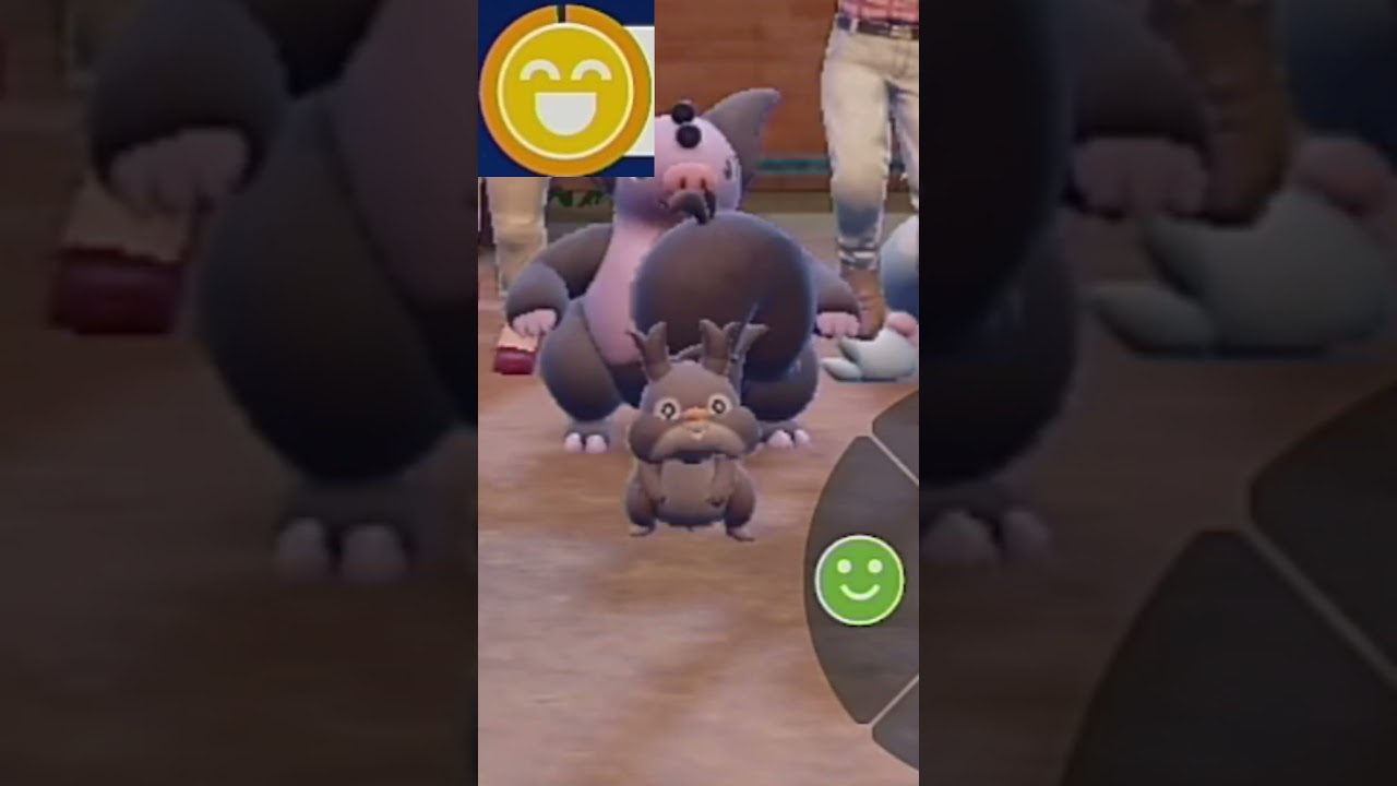 【ホシガリス】ポケモンエクササイズ【キタカミ図鑑No.72】#Shorts #pokemon