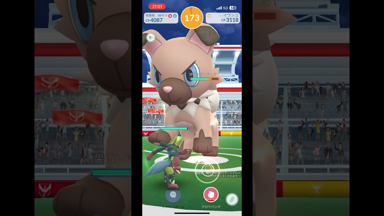 ポケモンgo イワンコレイドバトル戦　ソロ　メガルカリオ　#pokemongo
