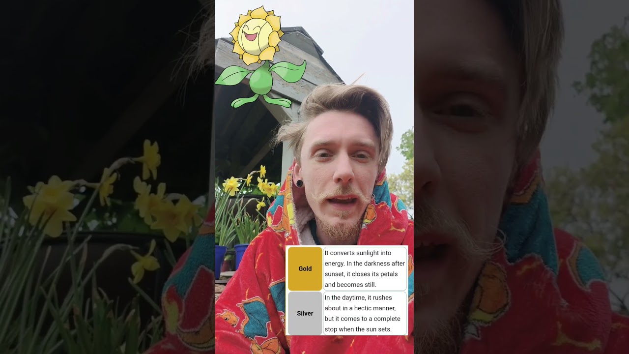 Sunflora - Fun Facts About #pokemon with C-Diddily