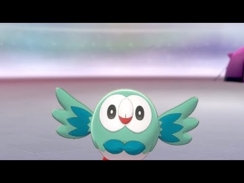 飛んでくるモクローがカワイイ【ポケモン剣盾】