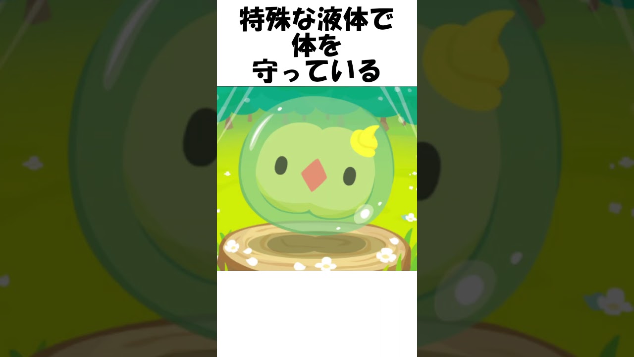 【ポケモン】頑丈な守り #Shorts