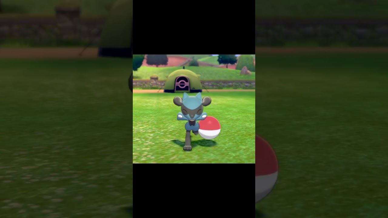 ボールを持って駆け寄ってくるリオル　#Shorts