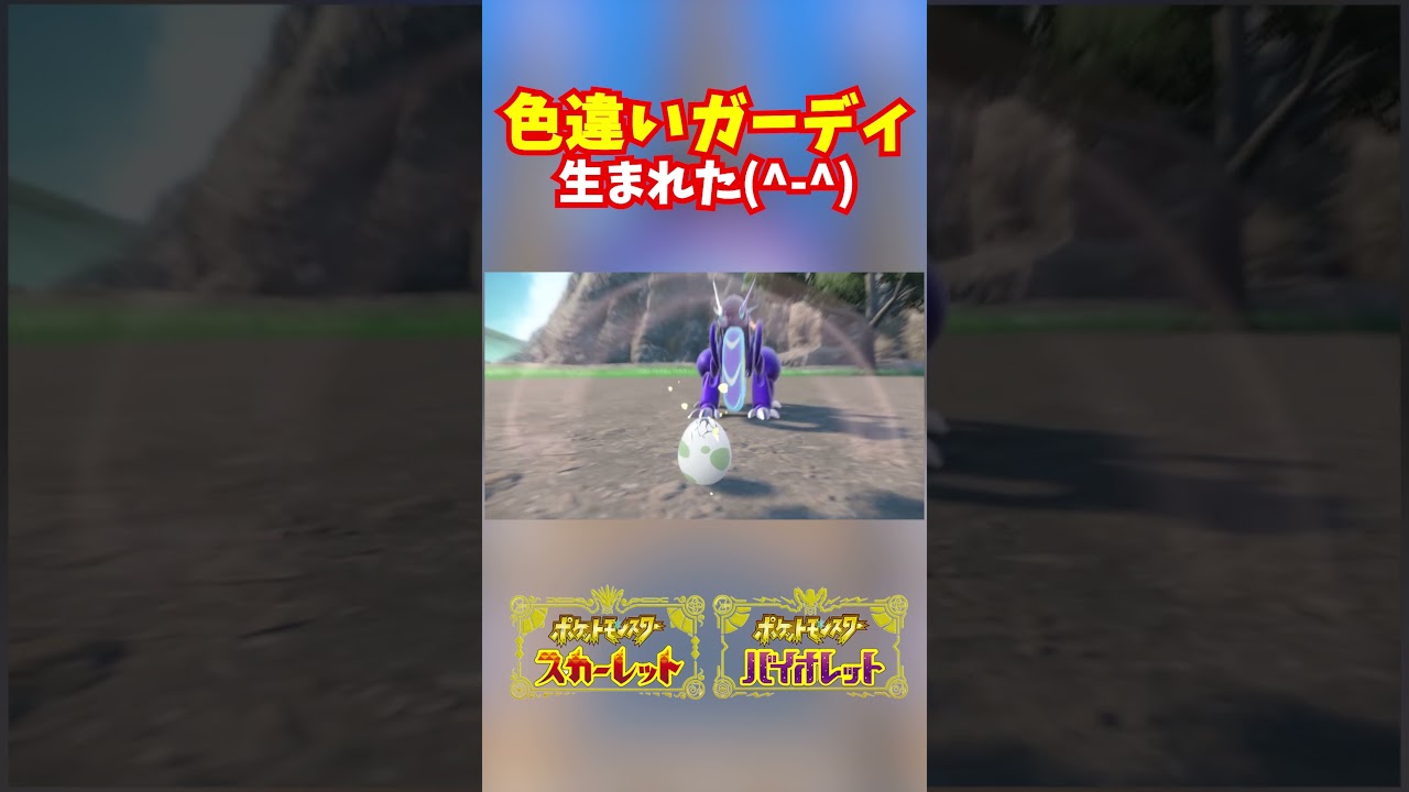 色違いガーディ生まれた #ポケモンsv #shorts #色違い #ガーディ #ヒスイ
