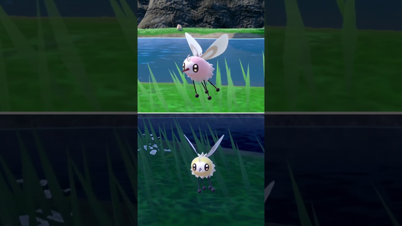 #アブリー  #ポケモン  #cutiefly  #pokemonscarletandviolet