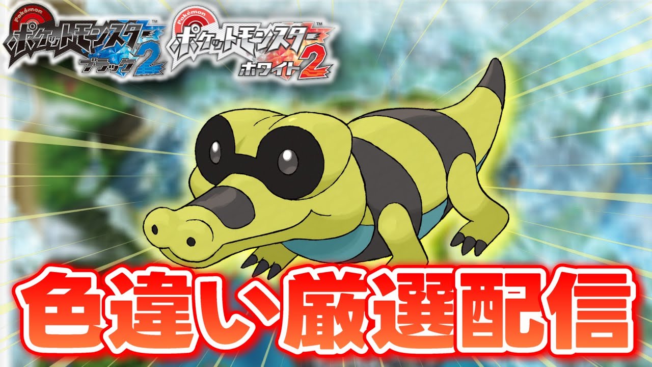 【ポケモンBW2】色違いしか使ってはいけない色違い縛り実況 メグロコ編 1800~【生配信】