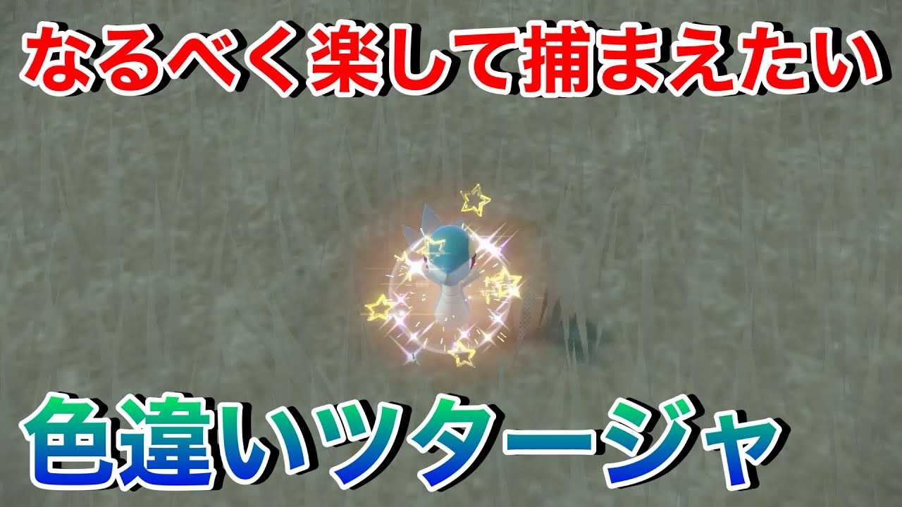 かわわわわわわわいぃ🩷色違いツタージャ！【ポケモンSV】