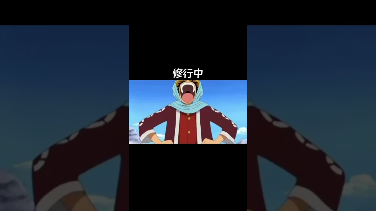 【ワンピース】クンフージュゴンの修行
