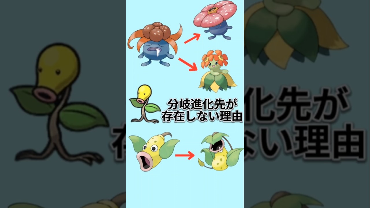 【びっくり】「マダツボミ系統」分岐進化先が存在しない理由【ポケモン解説員】#初代ポケモン#ポケモン考察#ポケモン解説員